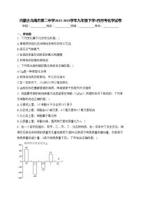 内蒙古乌海市第二中学2022-2023学年九年级下学3月月考化学试卷(含答案)