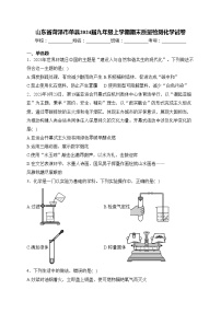 山东省菏泽市单县2024届九年级上学期期末质量检测化学试卷(含答案)