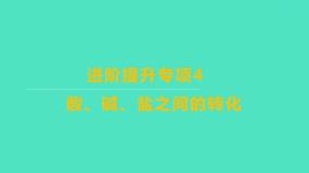 2023-2024学年九年级全一册化学人教版 进阶提升专项4　酸、碱、盐之间的转化 课件