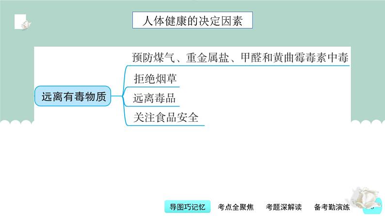 中考化学一轮复习基础过关课件第12讲 化学与人体健康(含答案)第3页
