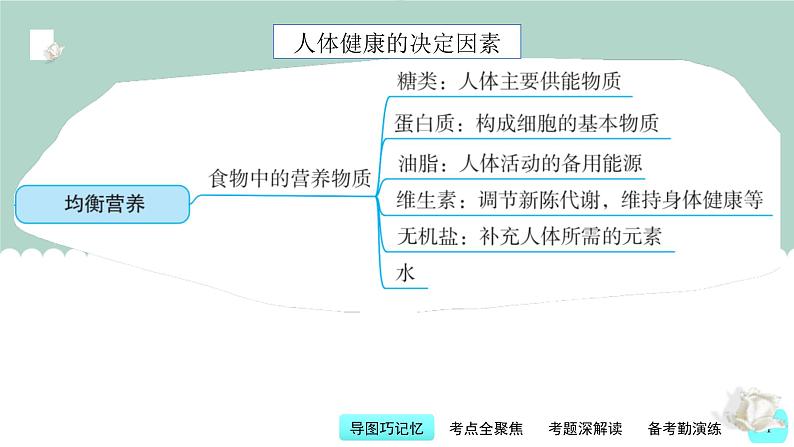 中考化学一轮复习基础过关课件第12讲 化学与人体健康(含答案)第4页