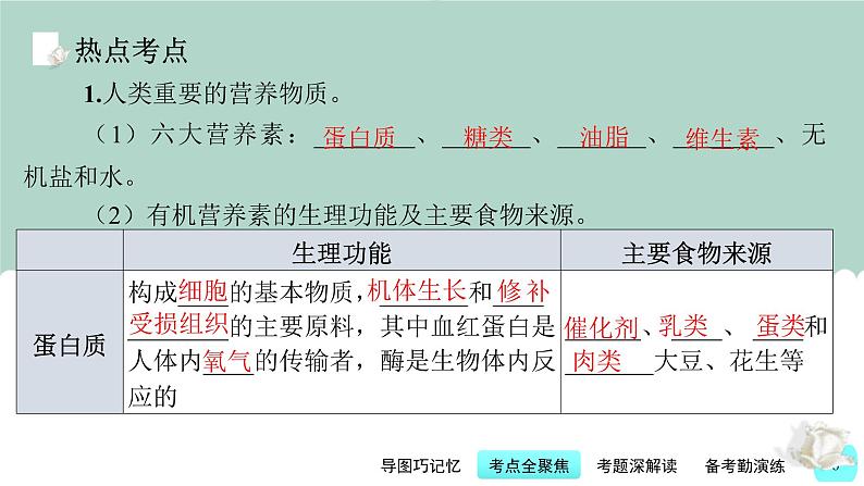 中考化学一轮复习基础过关课件第12讲 化学与人体健康(含答案)第6页