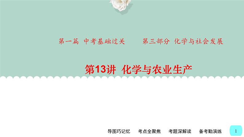 中考化学一轮复习基础过关课件第13讲 化学与农业生产(含答案)第1页
