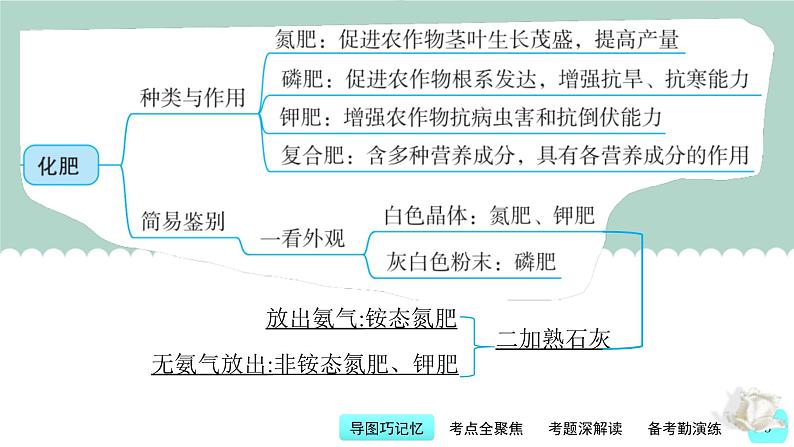 中考化学一轮复习基础过关课件第13讲 化学与农业生产(含答案)第3页