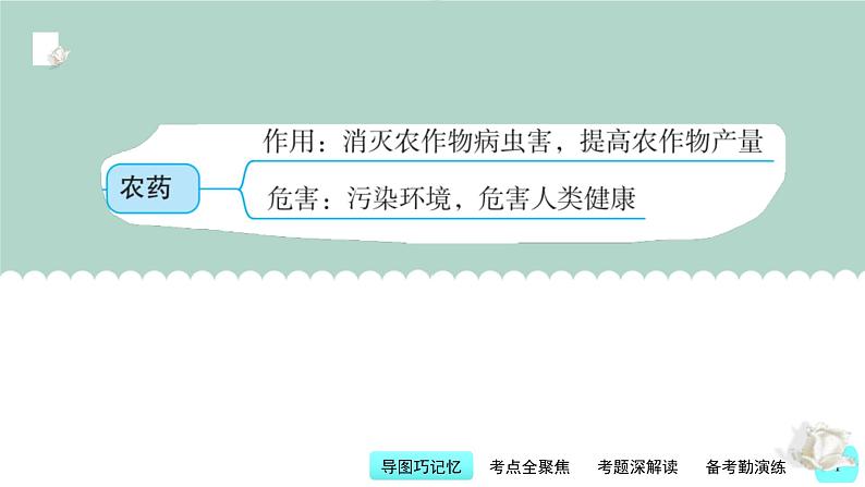 中考化学一轮复习基础过关课件第13讲 化学与农业生产(含答案)第4页