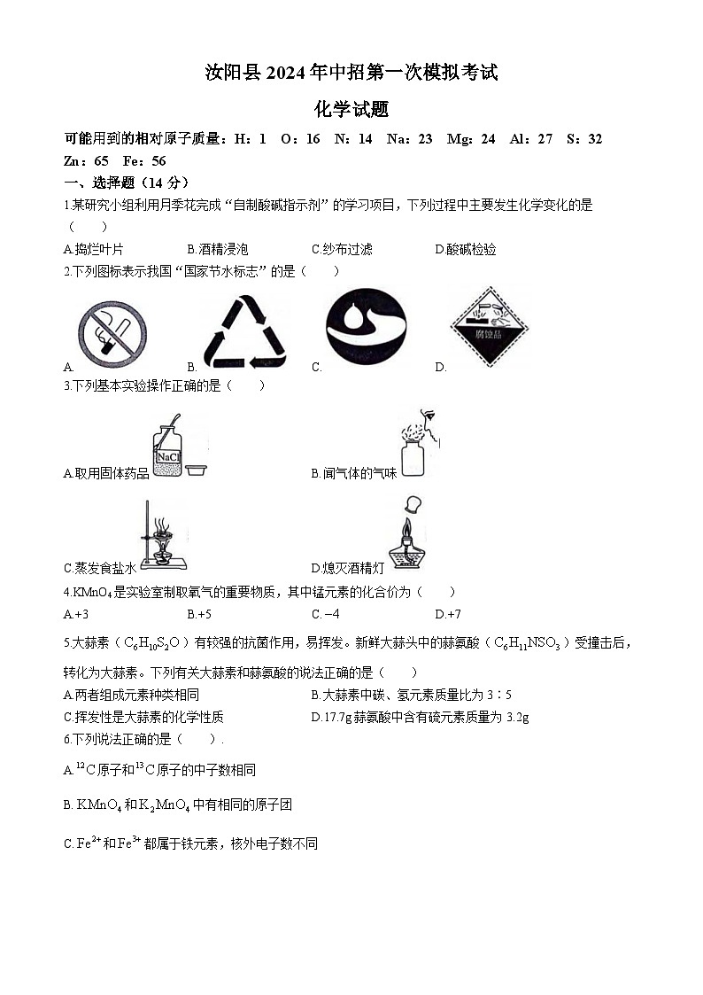2024年河南省洛阳市汝阳县中考第一次模拟考试化学试题第1页