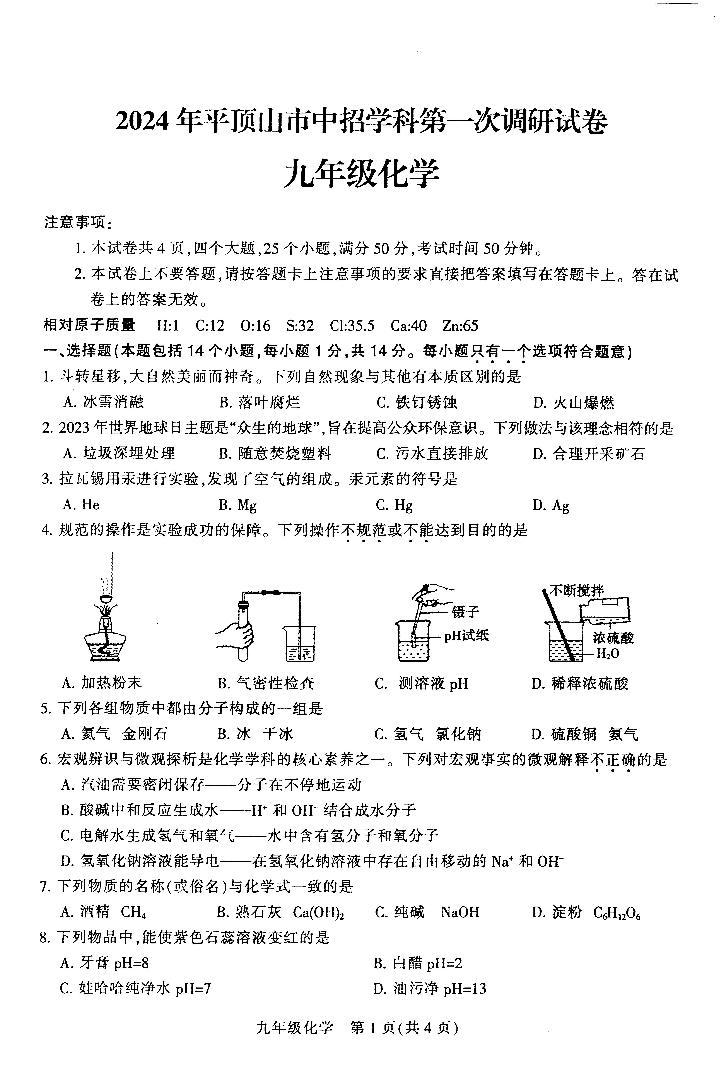 2024年河南省平顶山第一次调研考试九年级化学试题和答案01