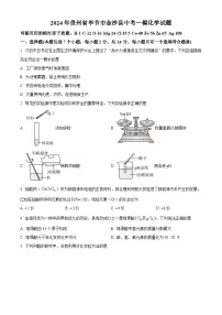 2024年贵州省毕节市金沙县中考一模化学试题（原卷版+解析版）