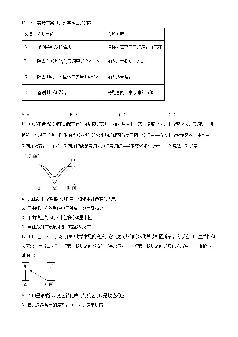 江苏省连云港市和安中学2023-2024学年九年级下学期4月月考化学试题(原卷版)第3页
