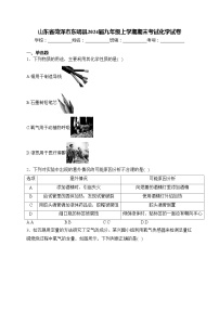 山东省菏泽市东明县2024届九年级上学期期末考试化学试卷(含答案)