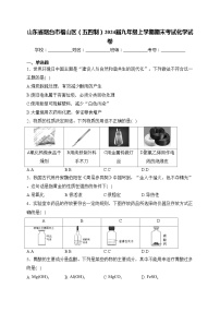 山东省烟台市福山区（五四制）2024届九年级上学期期末考试化学试卷(含答案)