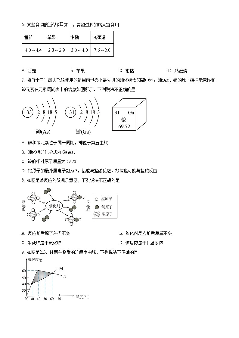 广东省惠州市惠阳区中山中学2023-2024学年九年级下学期3月月考化学试题(原卷版+解析版)02