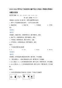 2023-2024学年辽宁省沈阳市康平县九年级上学期化学期末试题及答案