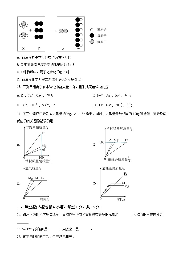 2024年河南省周口市鹿邑县中考一模化学试卷（原卷版+解析版）03