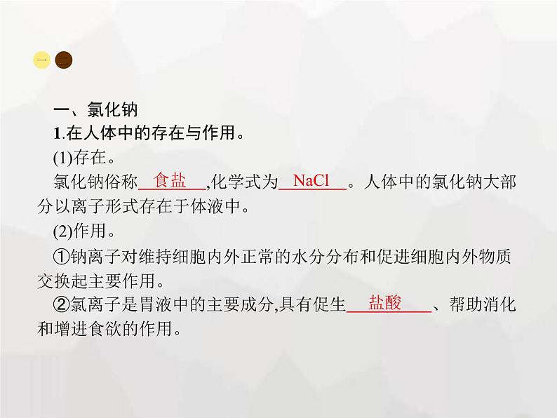 人教版九年级化学下册第11单元盐化肥课题1第1课时常见的盐课件第4页