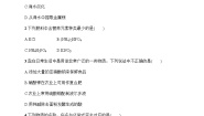 人教版九年级化学下册第11单元综合训练含答案