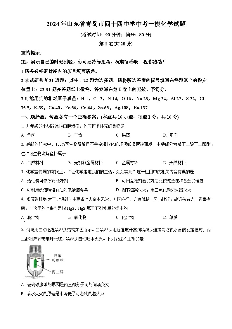 2024年山东省青岛市第四十四中学中考一模化学试题（原卷版+解析版）01