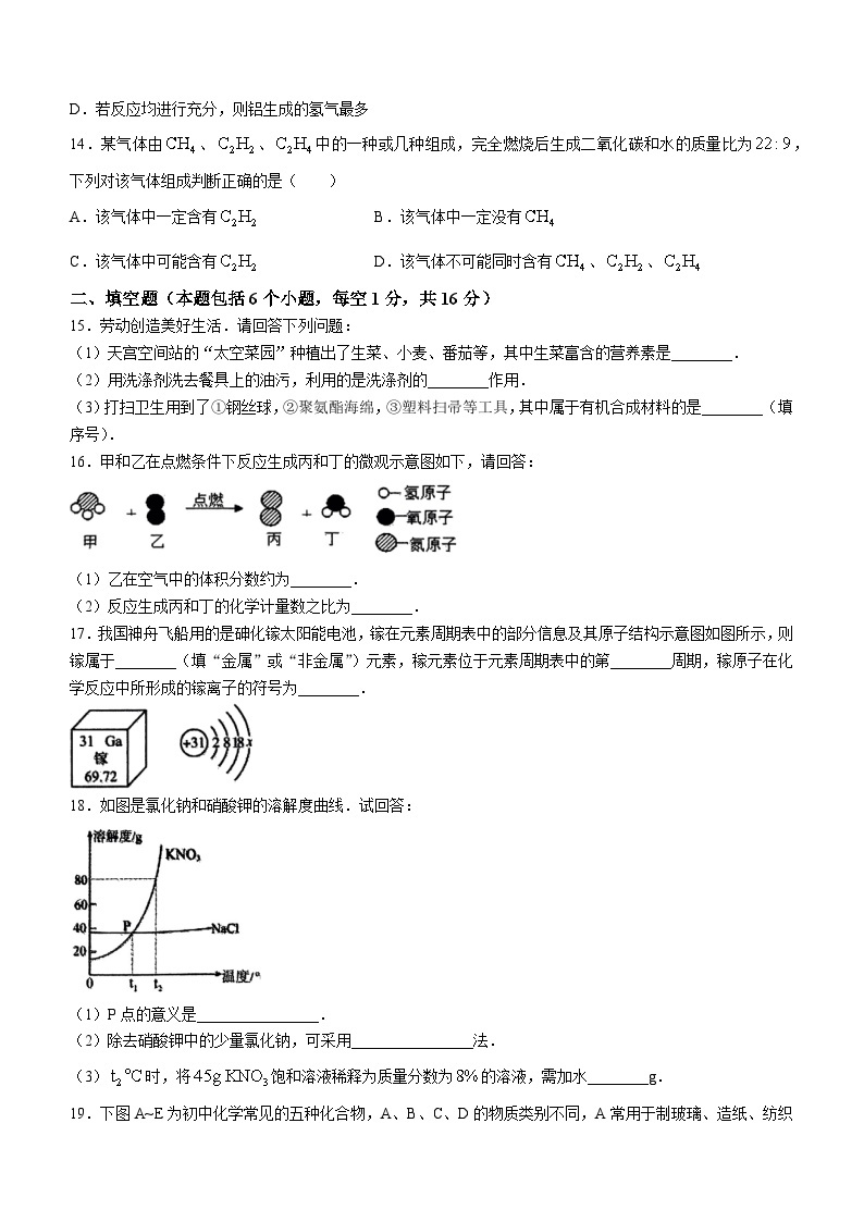 2024年河南省周口市郸城县中考一模化学试题(无答案)03