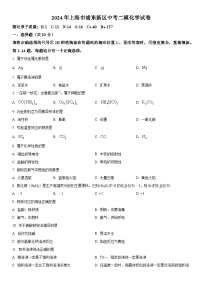 2024年上海市浦东新区中考二模化学试卷含详解