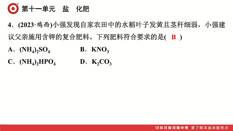 第11单元 盐 化肥课件-中考化学二轮复习第5页