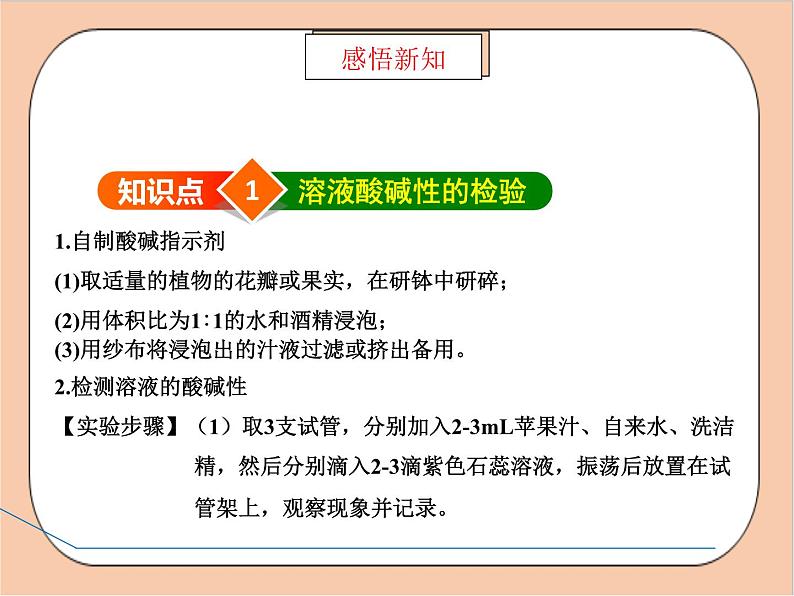 人教版化学九年级下册 实验活动7《溶液酸碱性的检验》课件04