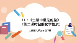 人教版化学九年级下册 11.1《生活中常见的盐》（第二课时盐的化学性质）课件