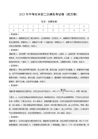 化学（武汉卷）2023年中考第二次模拟考试卷（解析版）