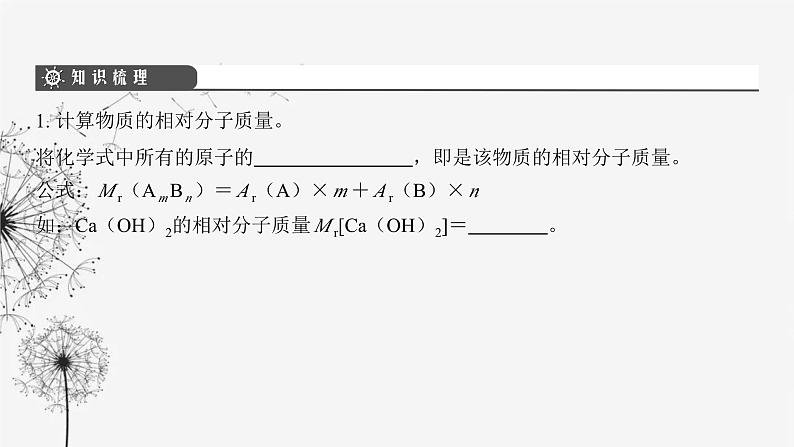 中考化学复习第六单元化学计算第二十三讲有关化学式的计算课件第4页