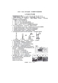 山东省菏泽市单县2023-2024学年下学期九年级化学期中试卷