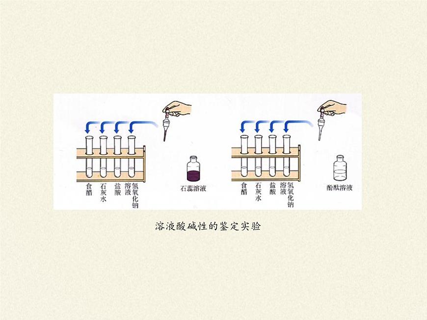 魯教版化學(xué)九年級(jí)下冊(cè) 第七單元 第四節(jié) 酸堿中和反應(yīng)(4) 課件第2頁(yè)