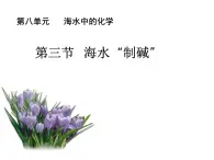 鲁教版化学九年级下册 第八单元 纯碱的性质 课件