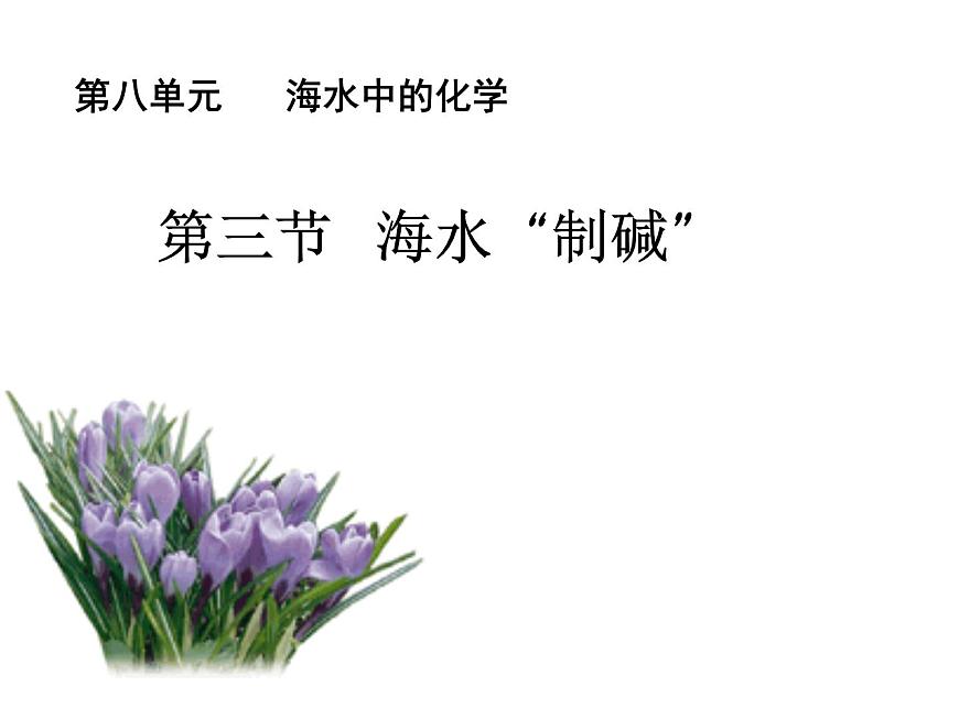 魯教版化學(xué)九年級(jí)下冊(cè) 第八單元 純堿的性質(zhì) 課件第1頁(yè)