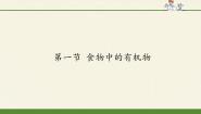 化学第一节  食物中的有机物课文内容课件ppt