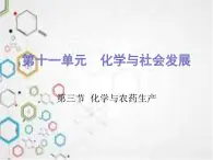 鲁教版化学九年级下册 第十一单元 第三节《 化学与农业生产》 课件