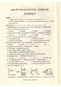2024年河南省平顶山市中考二模化学试题