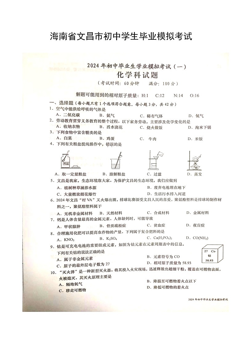 2024年海南省文昌市九年级化学模拟考试(一)第1页