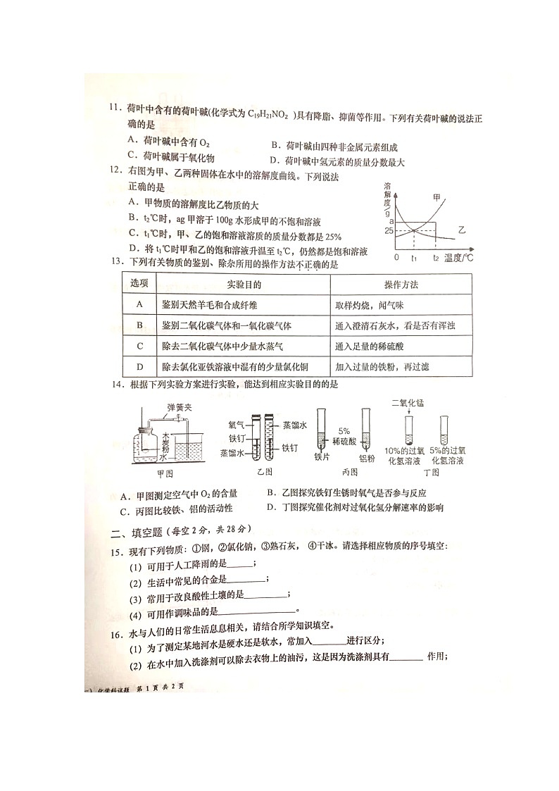 2024年海南省文昌市九年级化学模拟考试(一)第2页