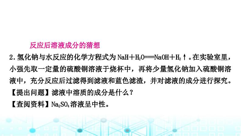 中考化学复习题型突破七项目式探究题(实验探究)课件第5页