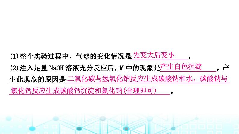 中考化学复习第六单元碳和碳的氧化物课件06