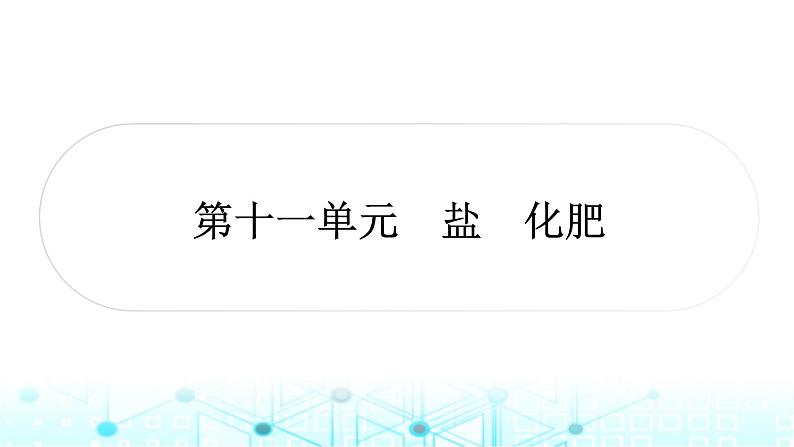 中考化学复习第十一单元盐化肥课件第1页