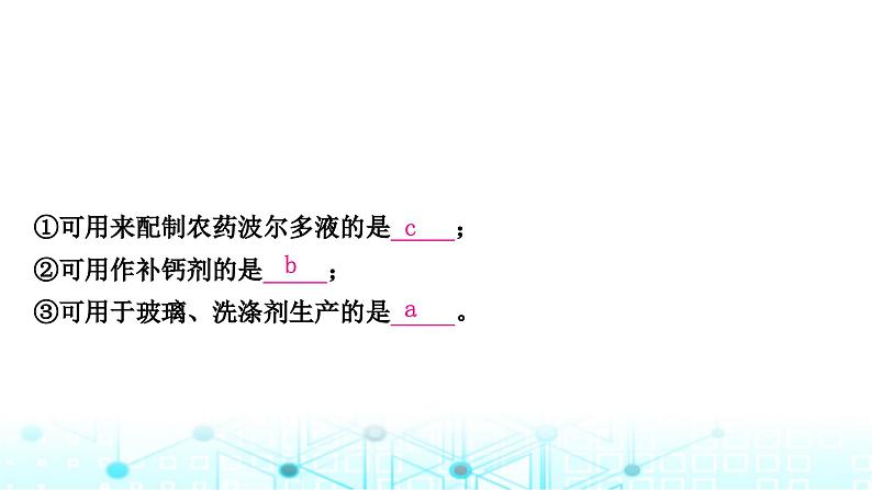 中考化学复习第十一单元盐化肥课件第4页