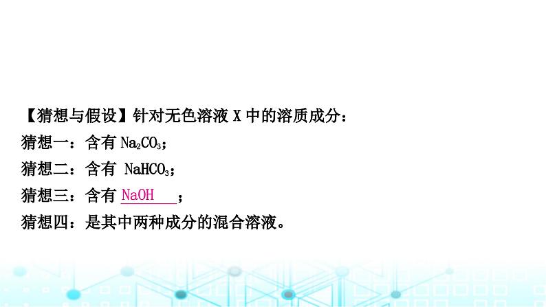 中考化学复习第十一单元盐化肥课件第8页