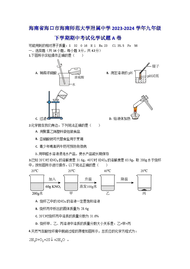 海南省海口市海南师范大学附属中学2023-2024学年九年级下学期期中考试化学试题A卷01