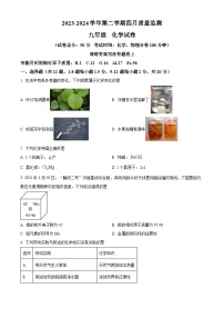 2024年广东省深圳市南山外国语学校中考二模化学试卷（原卷版+解析版）