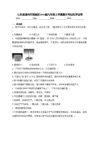 山东省德州市陵城区2024届九年级上学期期末考试化学试卷(含答案)