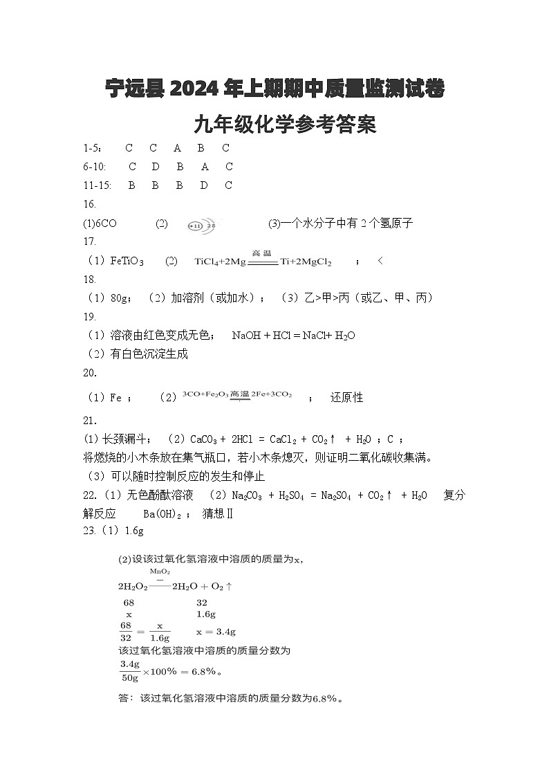 宁远县2024年上期九年级期中测试卷答案第1页