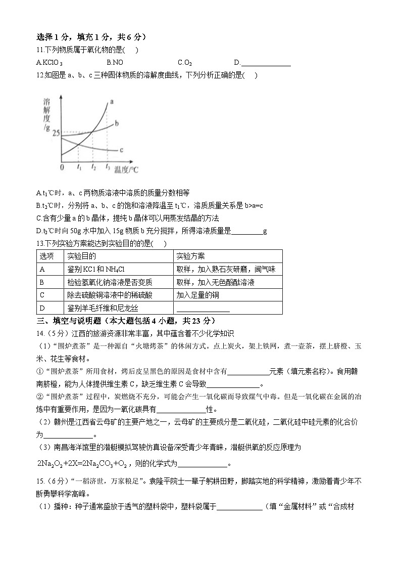 江西省吉安市省级九校2023-2024学年九年级下学期4月月考化学试题第3页