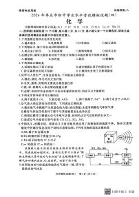 2024年山东省枣庄市初中学业水平考试化学模拟试题（四）