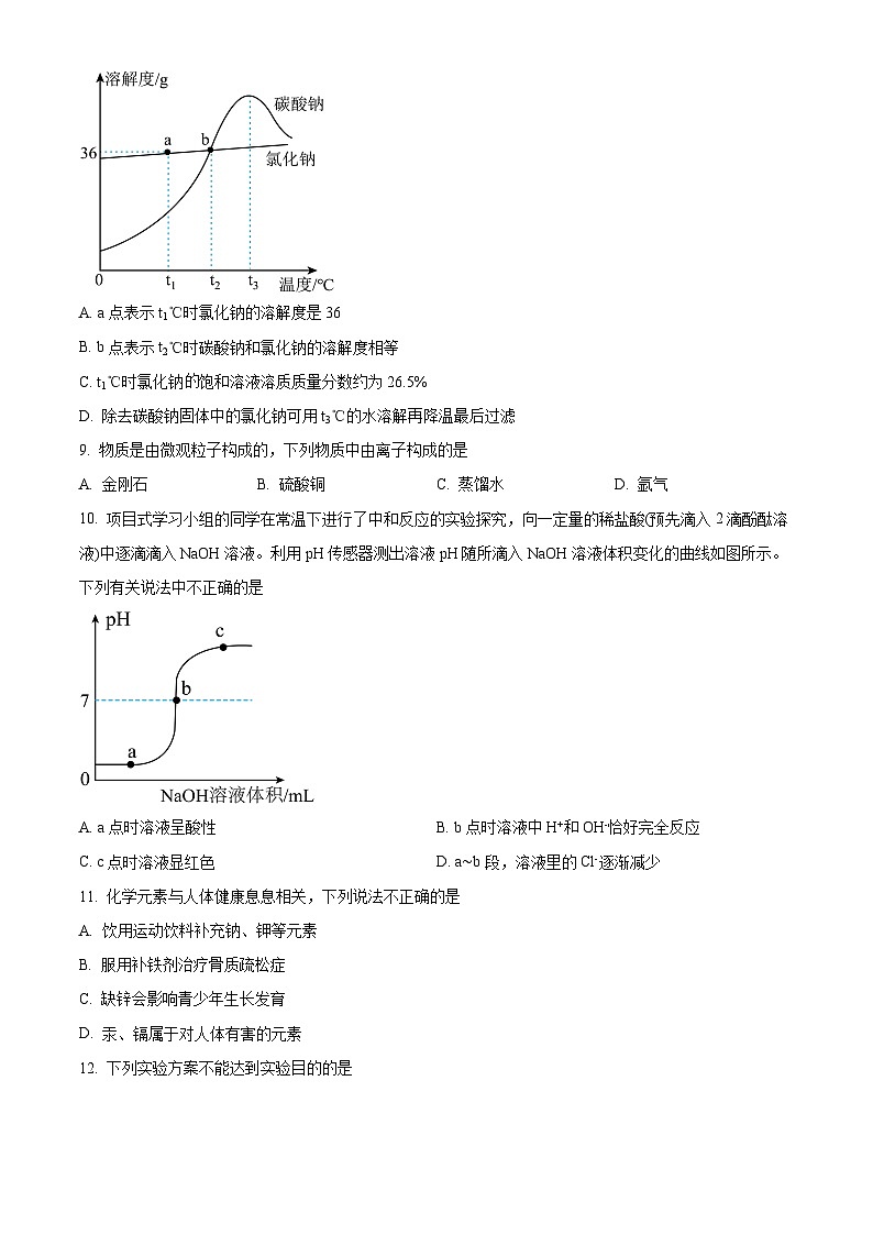 2024年海南省琼海市嘉积中学中考模拟(四)化学试题(原卷版)第2页
