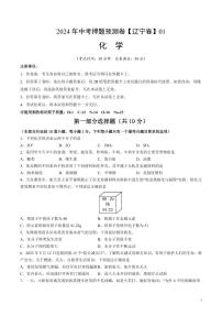 2024年中考押题预测卷01（辽宁卷）化学（考试版）